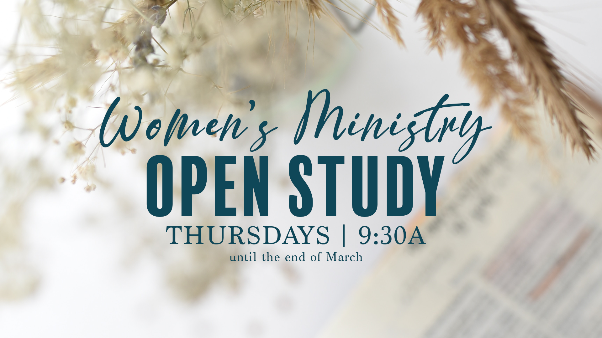 open study womens
